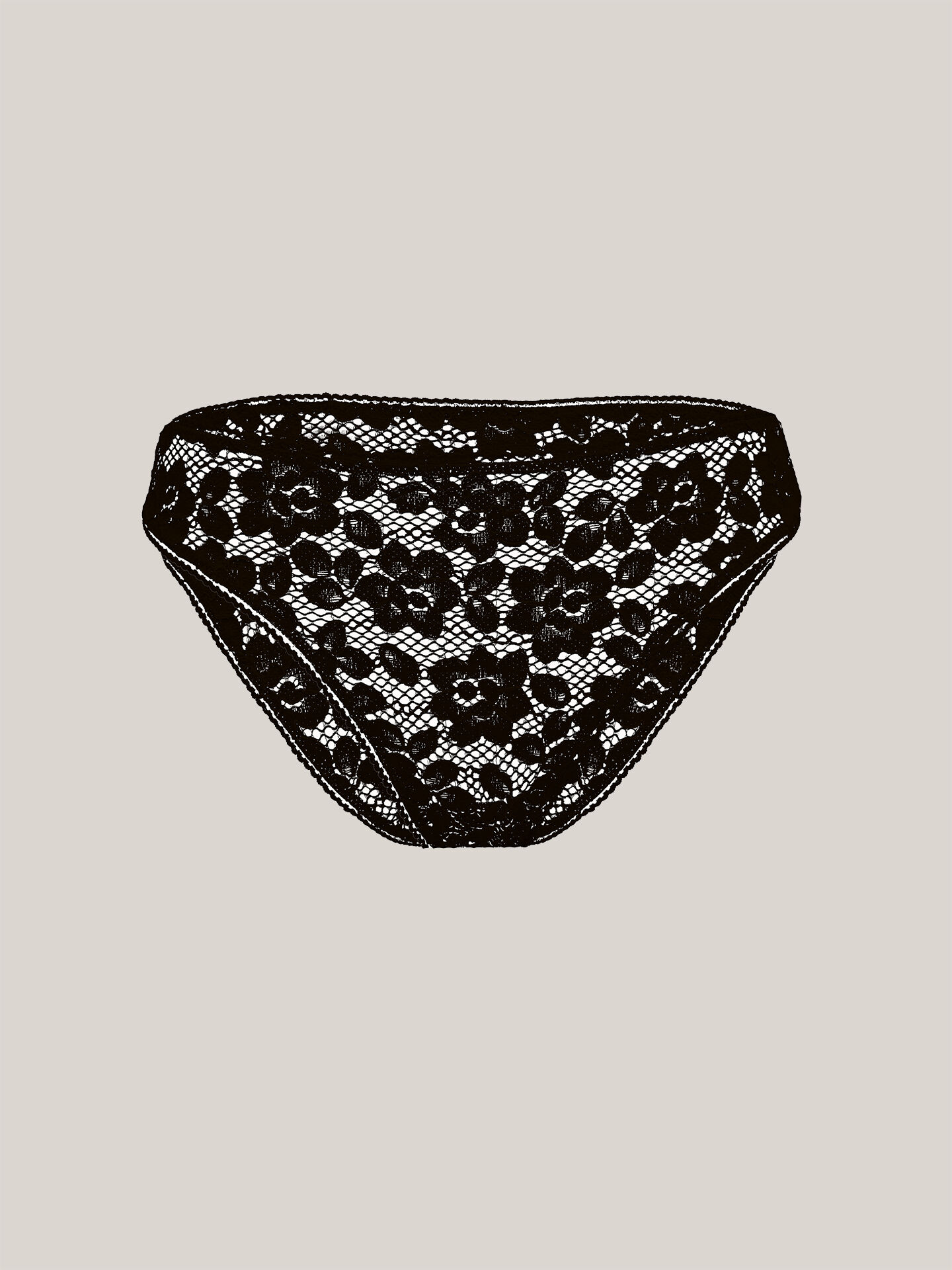 BOLD LACE BRIEF BOLD LACE BRIEF