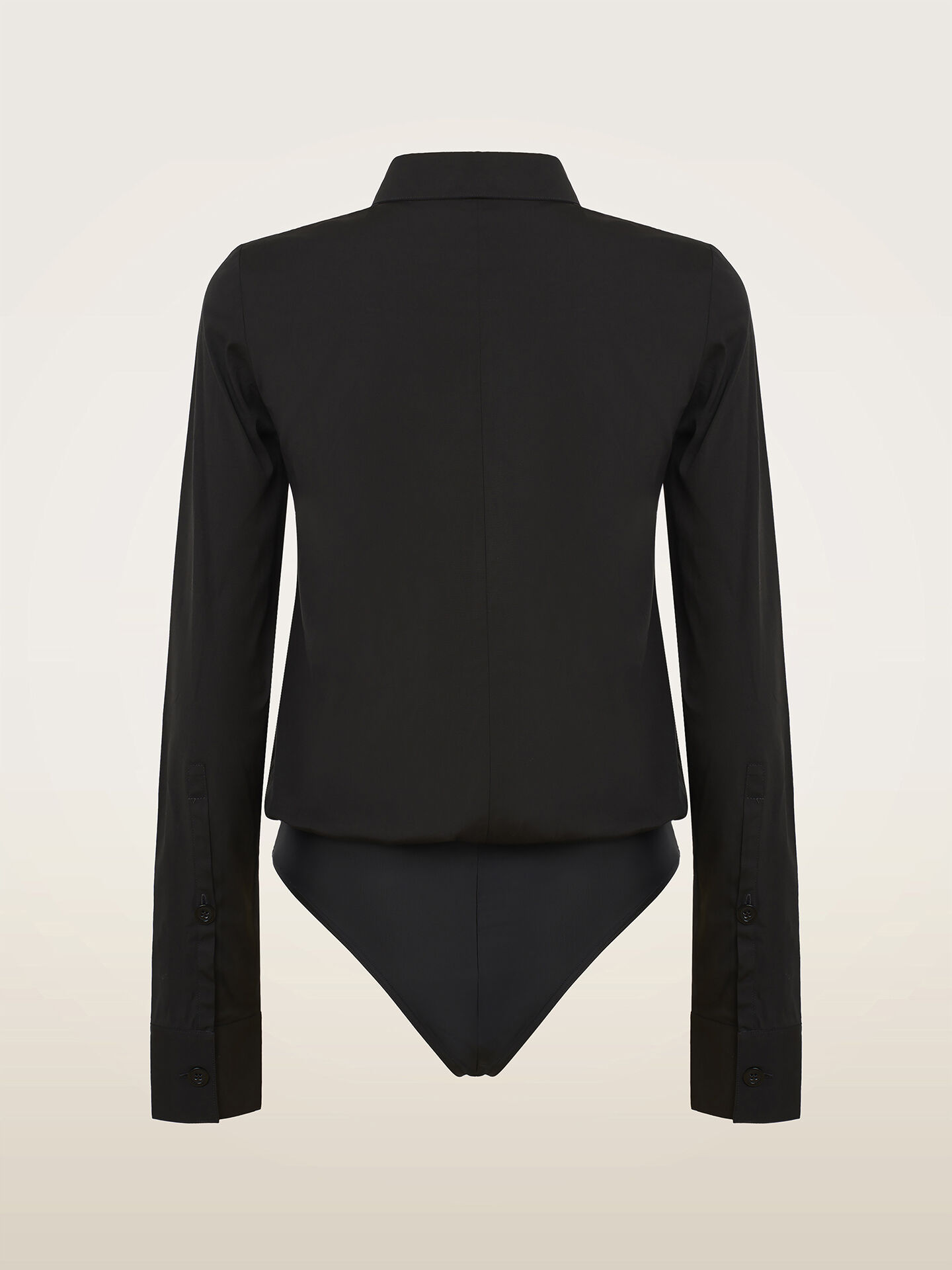 THE BLOUSE BODY