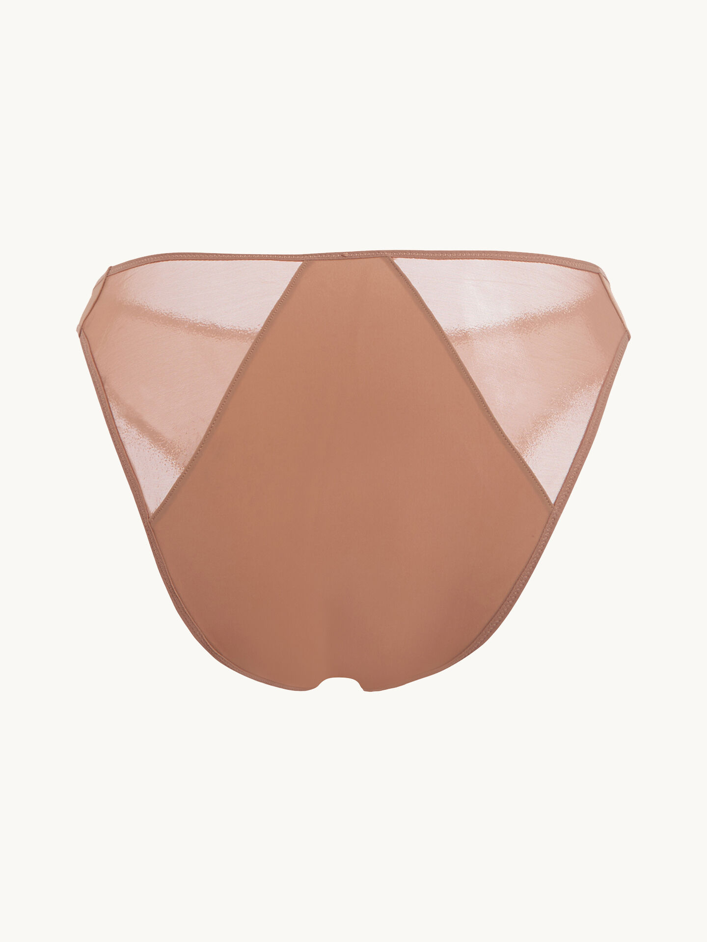 SHEER OPAQUE BRIEF SHEER OPAQUE BRIEF