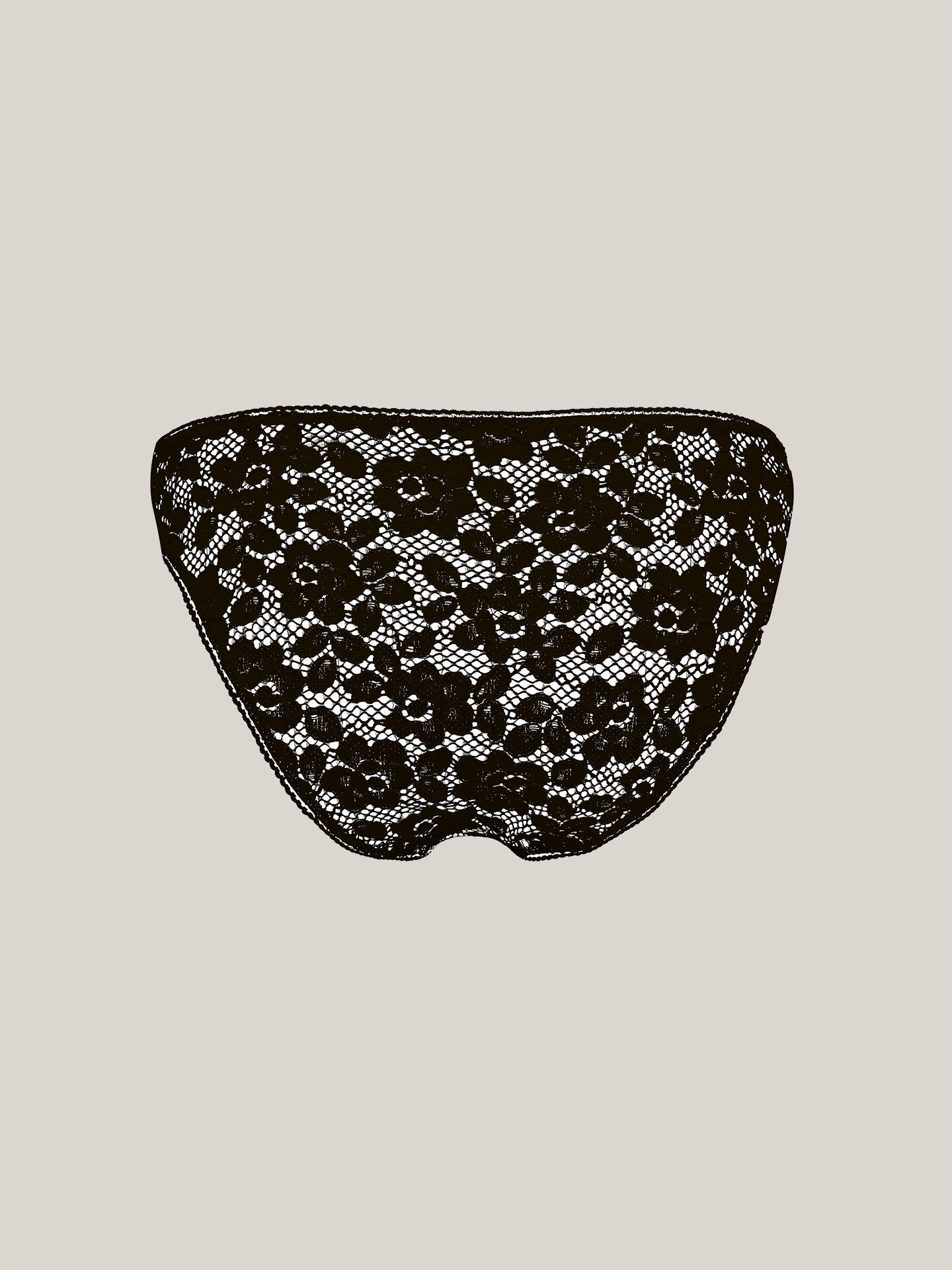 BOLD LACE BRIEF BOLD LACE BRIEF