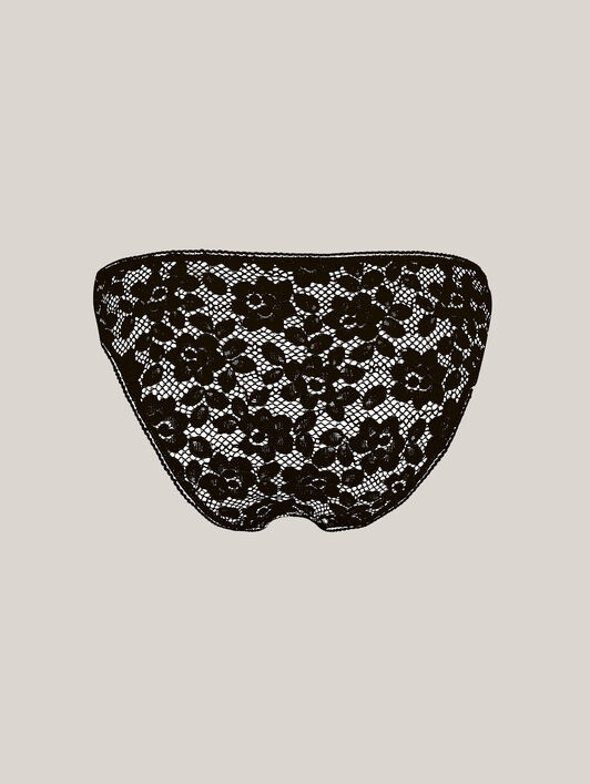 BOLD LACE BRIEF BOLD LACE BRIEF