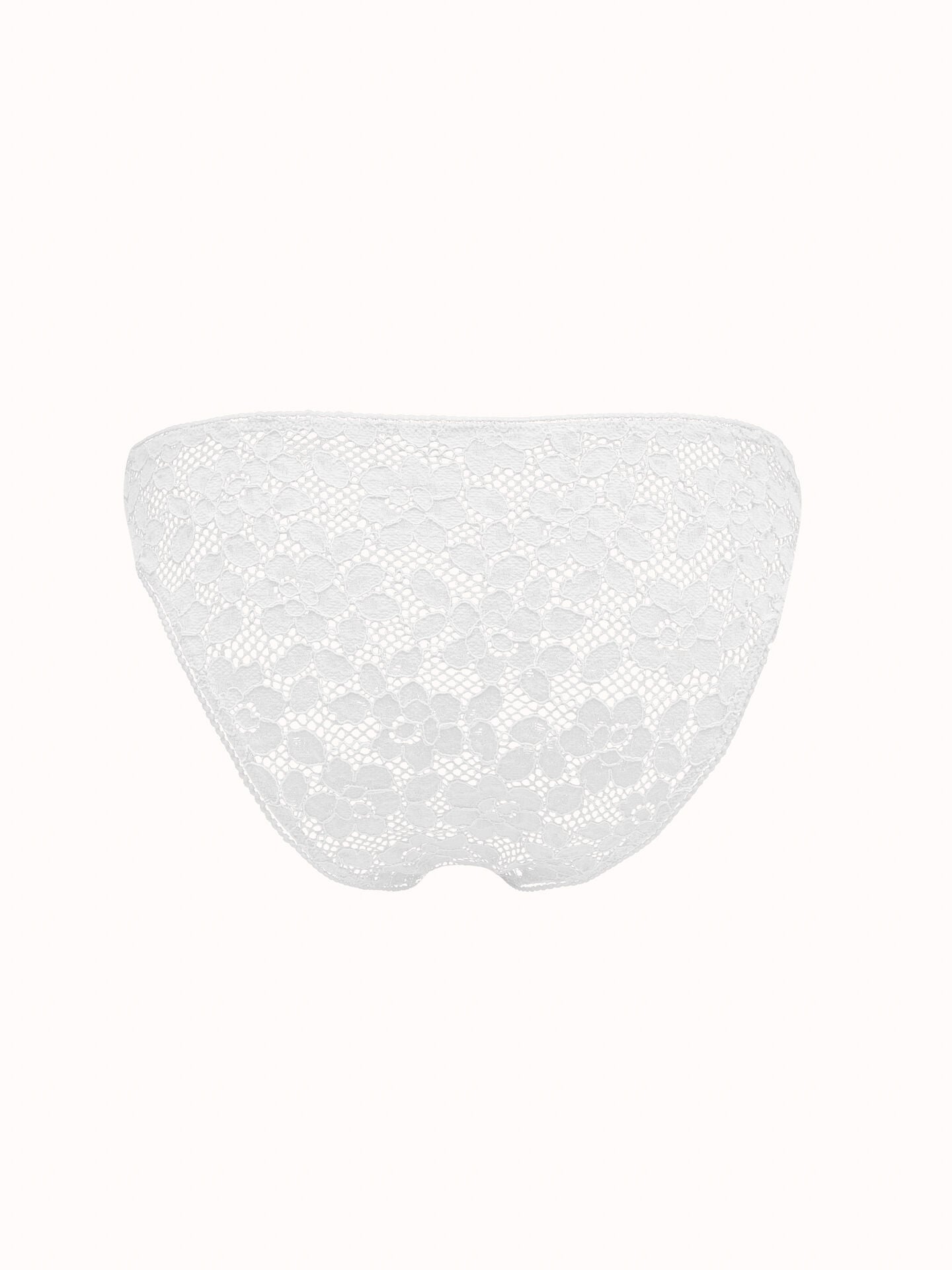 BOLD LACE BRIEF