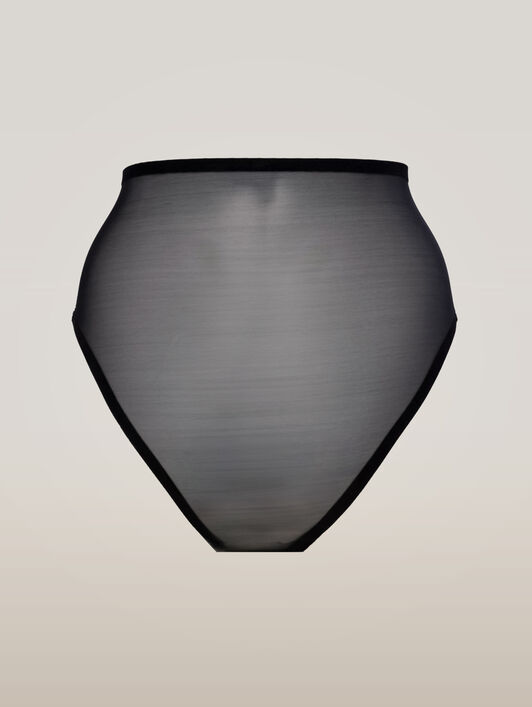 BONDED TO TULLE CONTROL BRIEF BONDED TO TULLE CONTROL BRIEF