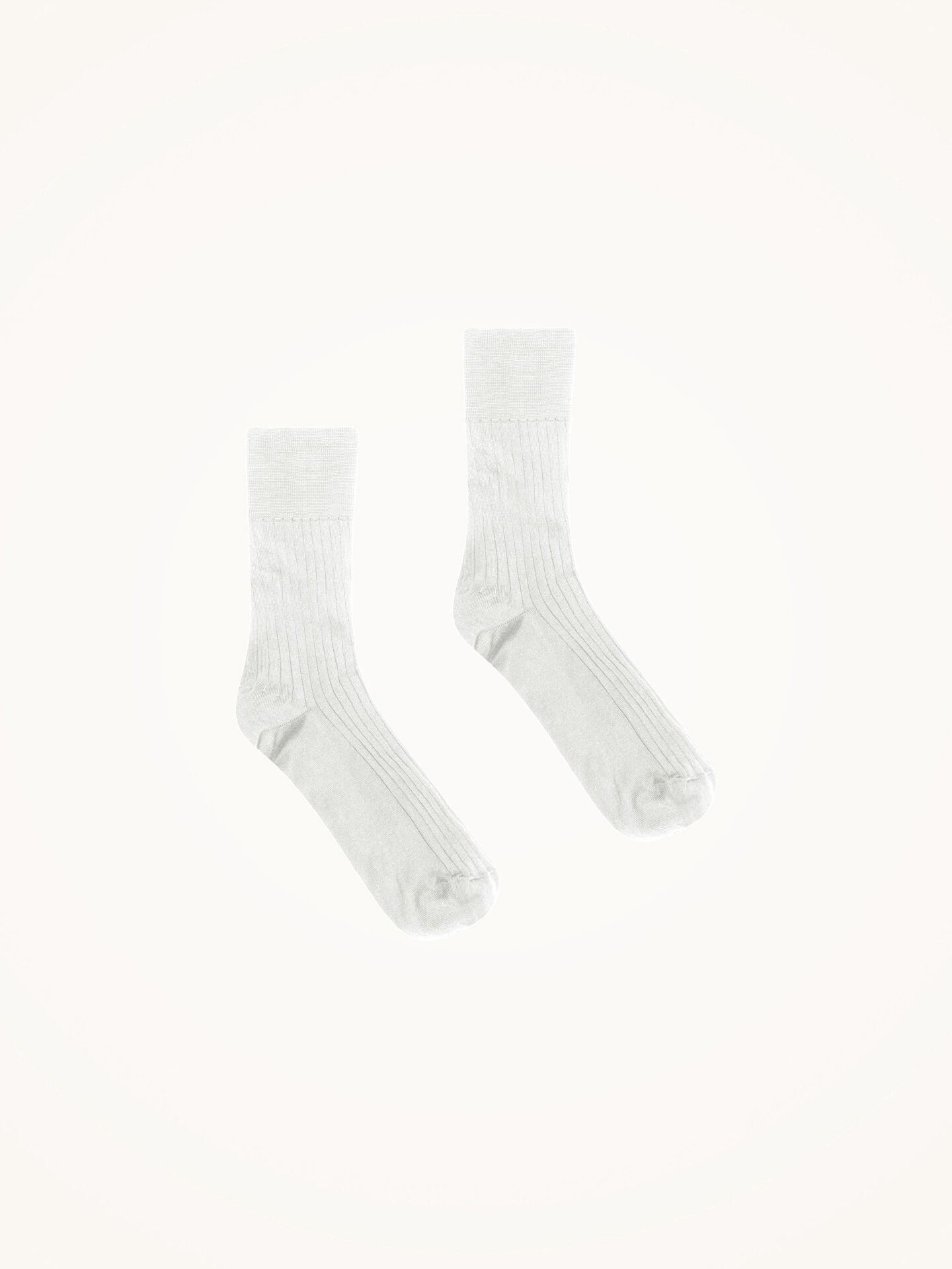 LUXURY COTTON RIB SOCKS LUXURY COTTON RIB SOCKS