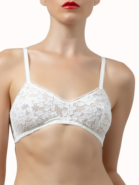 BOLD LACE PANTY BOLD LACE PANTY