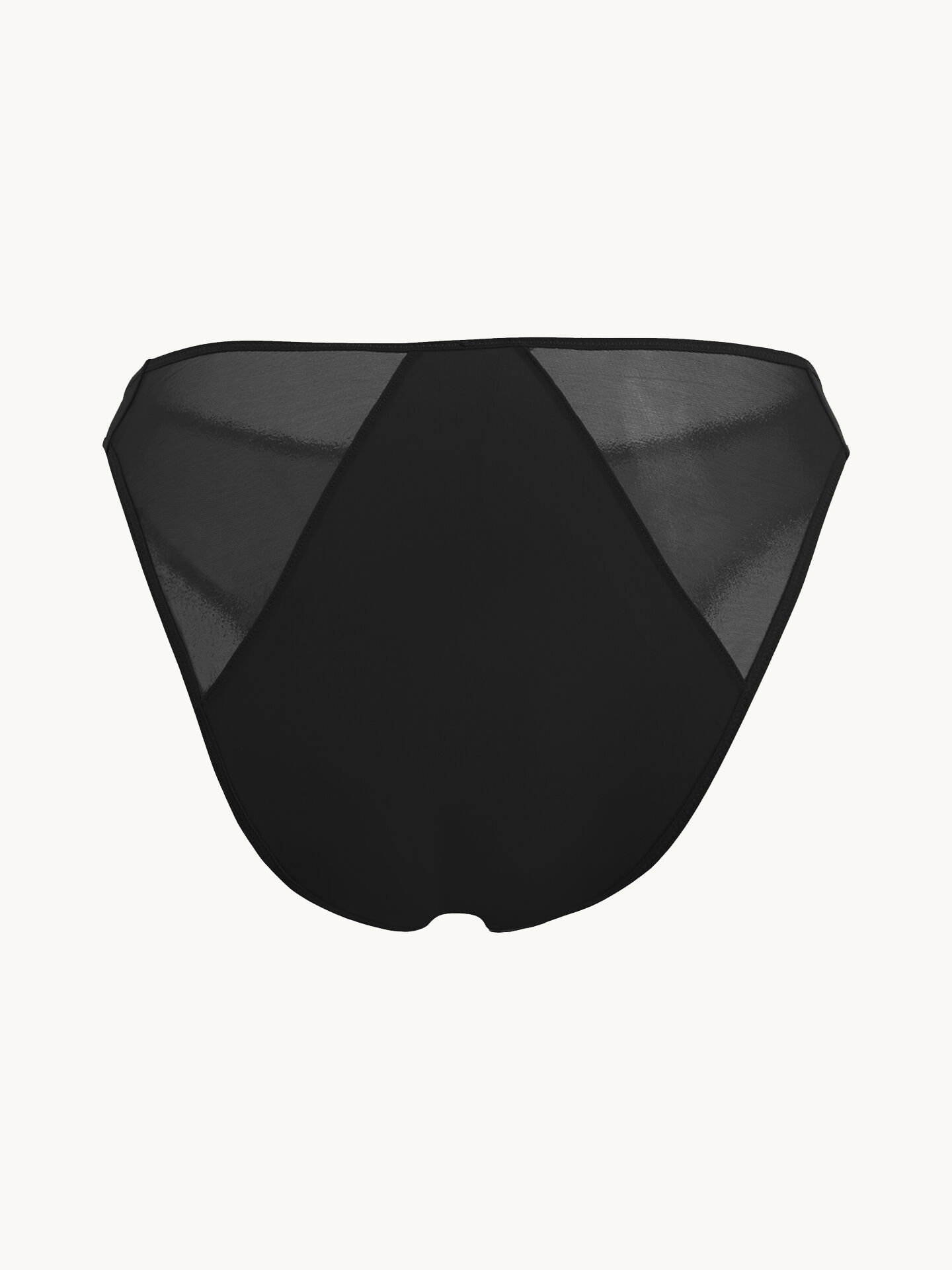 SHEER OPAQUE BRIEF SHEER OPAQUE BRIEF