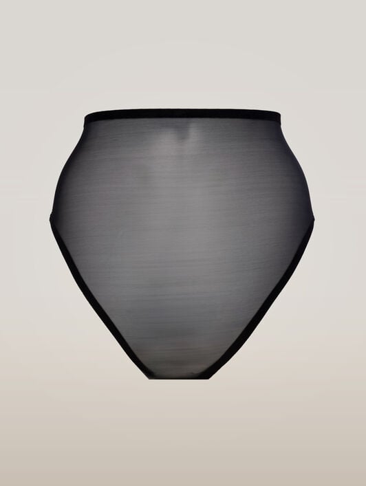 BONDED TO TULLE CONTROL BRIEF BONDED TO TULLE CONTROL BRIEF